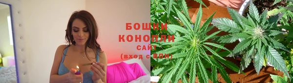 индика Верхний Тагил