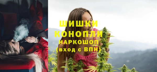 прущие крисы Верея