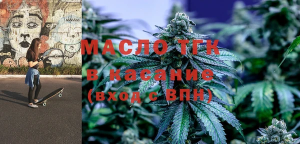 индика Верхний Тагил