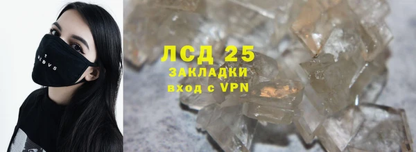 индика Верхний Тагил