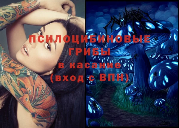 гидропоника Семёнов