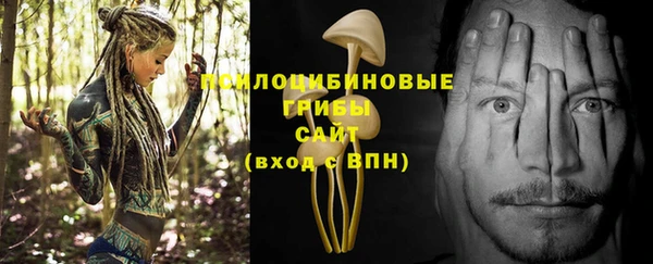 индика Верхний Тагил