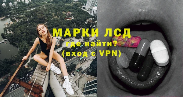 индика Верхний Тагил
