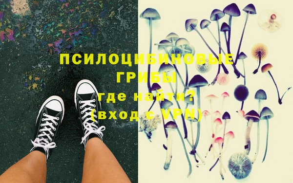 дурь Саяногорск